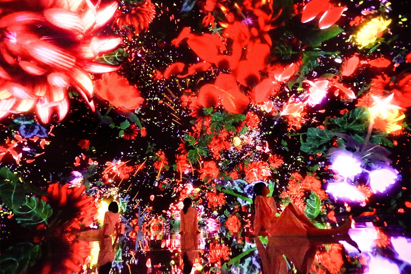 豊洲に“2年限定”巨大デジタルアート空間「チームラボ プラネッツ」がオープン