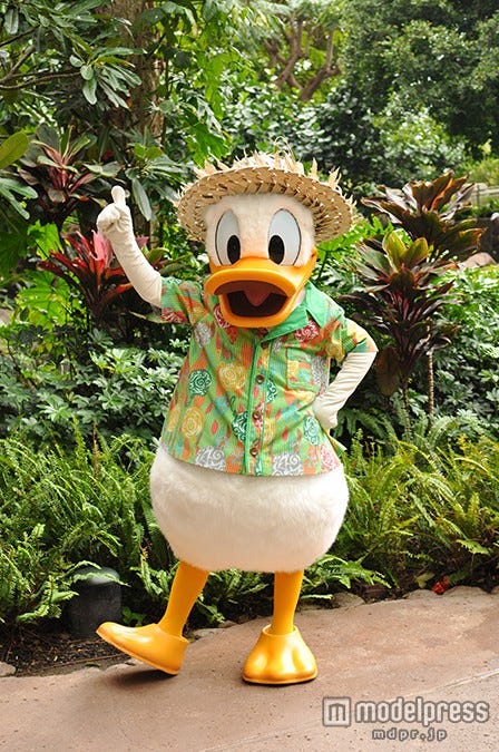アウラニのドナルド(C)Disney