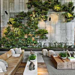 1 Hotel Brooklyn Bridge/提供素材