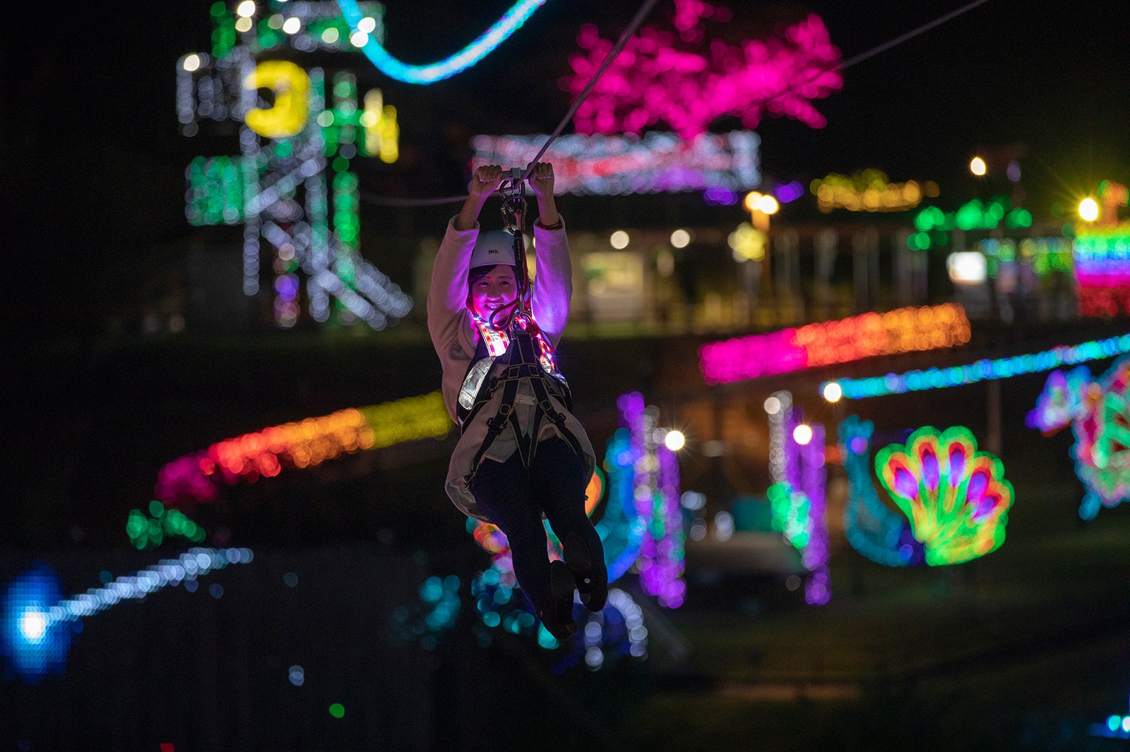 ジップライン～流星RYUSEI～／画像提供：伊豆シャボテン公園