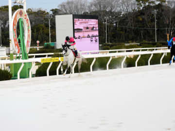 【地方競馬】コウノトリ賞 スマートアンバーが重賞初勝利
