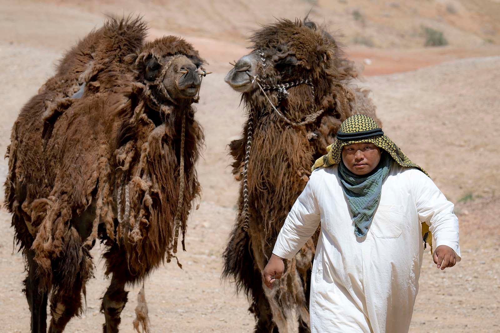 富栄ドラム「VIVANT」（C）TBS