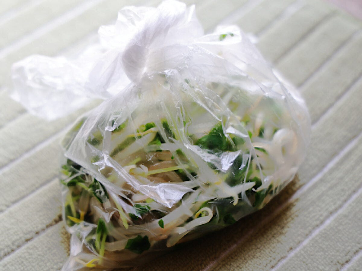 もやしと豆苗を入れて口をねじって閉じた透明なビニール袋。緑のストライプの布の上に置かれている