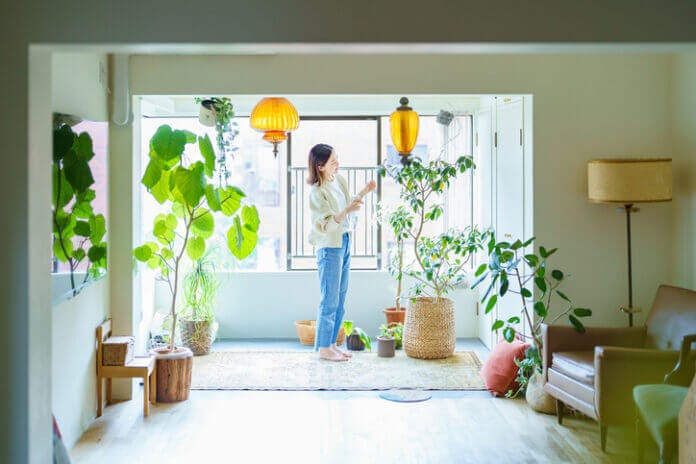 植物を置く