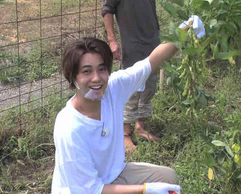 King & Prince高橋海人、炎天下で重労働「ライブ1回分の汗をかいた」ハプニングも発生