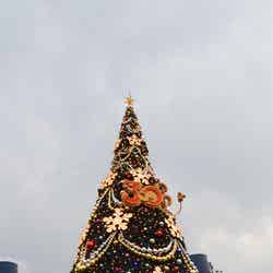 S.S.コロンビア号の前の高さ約15メートルのクリスマスツリー（昼）30周年のロゴ付き
