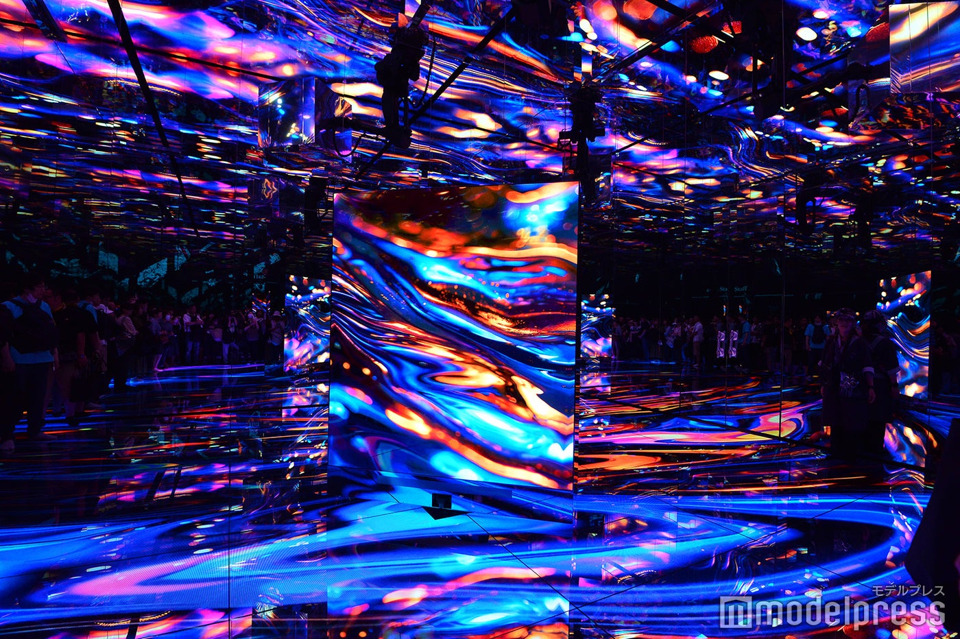 null2（C）モデルプレス