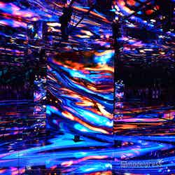 null2(C)モデルプレス