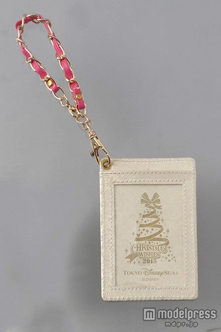 TDS：パスケース（C）Disney