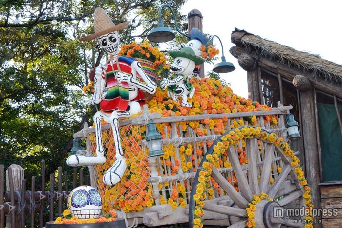 「ロストリバーデルタ」カラフルで賑やかなラテンアメリカ風/東京ディズニーシー