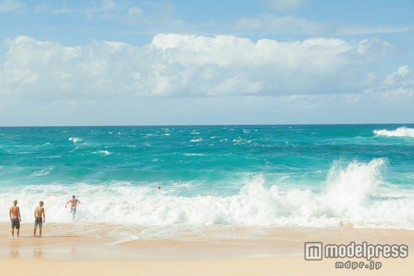 行くたびに好きになる、ハワイの奥深い魅力に迫る