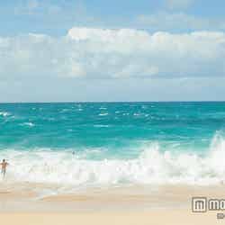 行くたびに好きになる、ハワイの奥深い魅力に迫る