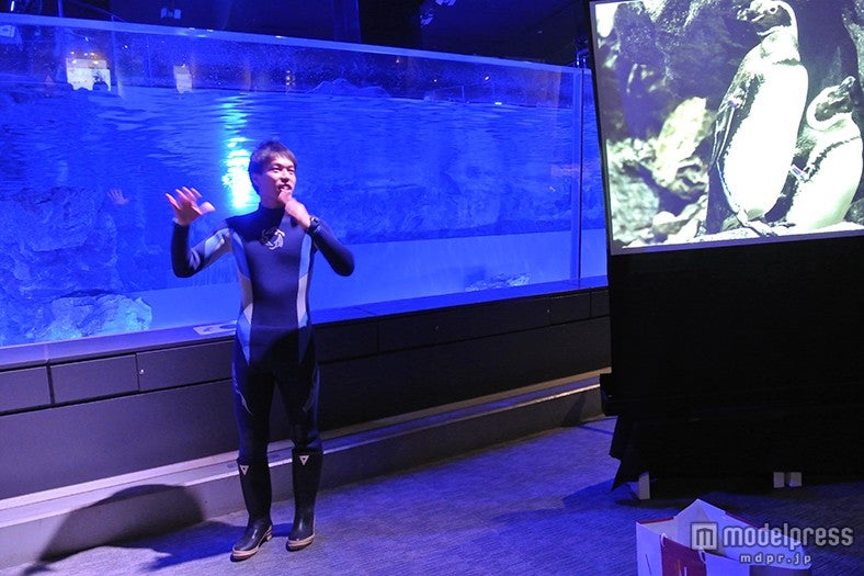 「ペンギンライブ」／画像提供：すみだ水族館