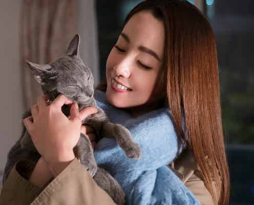 沢尻エリカに「新しい家族」 共演した猫を引き取る<猫は抱くもの>