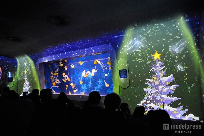 幻想的なクラゲ水槽に雪が舞う 新江ノ島水族館がクリスマスムード一色に