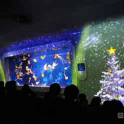 クラゲショー「海月の宇宙~クリスマス~」イメージ/画像提供:新江ノ島水族館【モデルプレス】