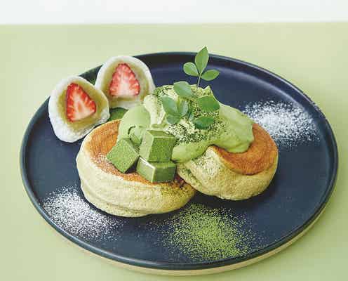 スフレパンケーキ専門店「フリッパーズ」京都に初出店、店舗限定パンケーキは抹茶づくし