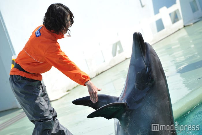 松岡茉優(C)モデルプレス