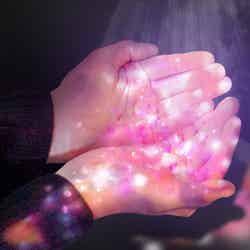 夜歩きアート県庁NAKED GARDEN SAGA/画像提供:ネイキッド