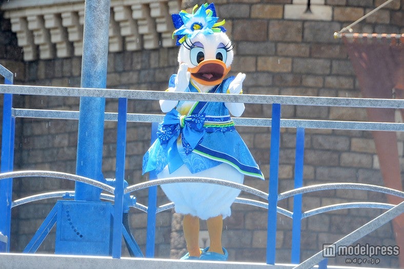 「雅涼群舞（がりょうぐんぶ）」／デイジー