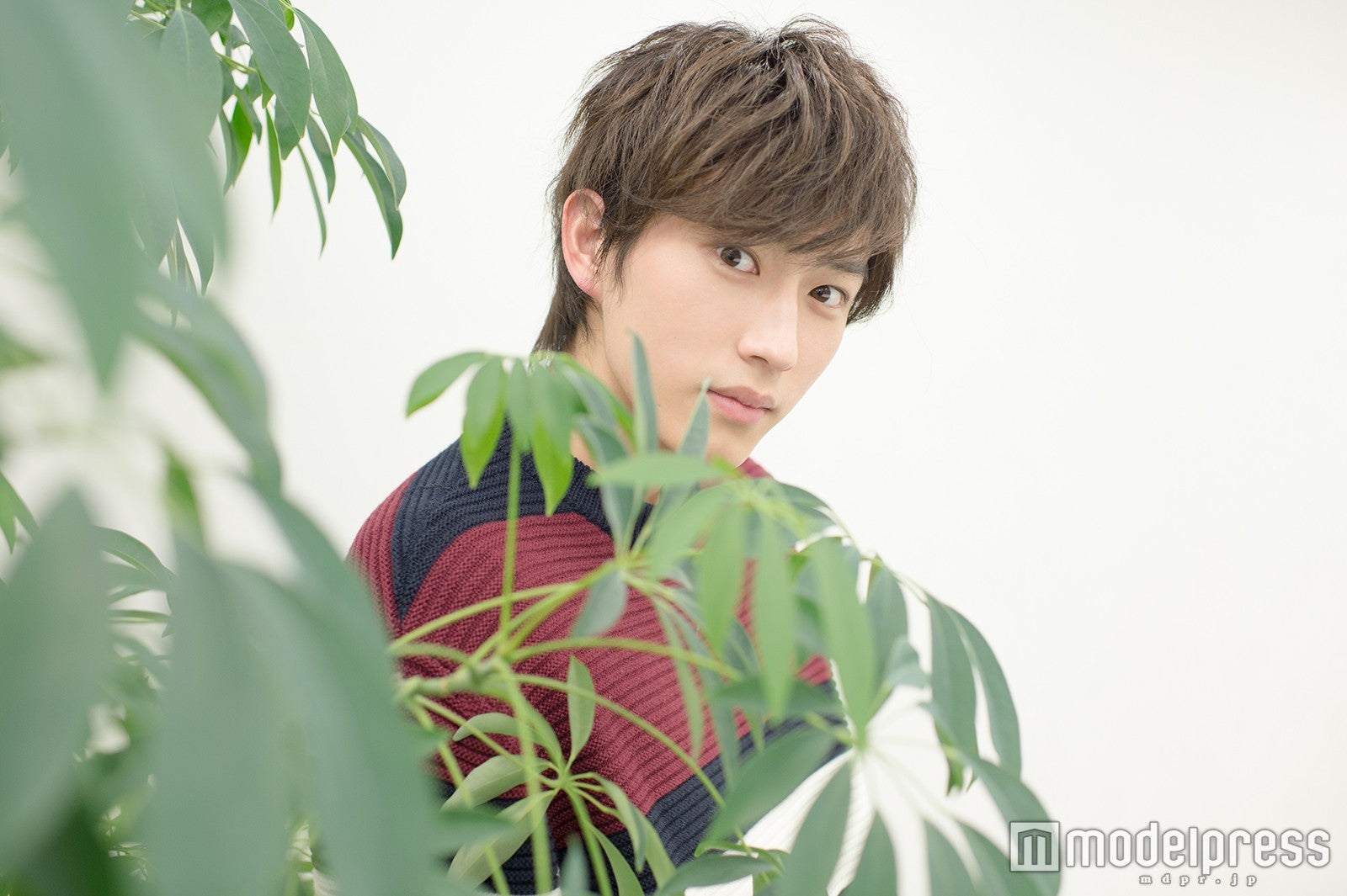 杉野遥亮（C）モデルプレス