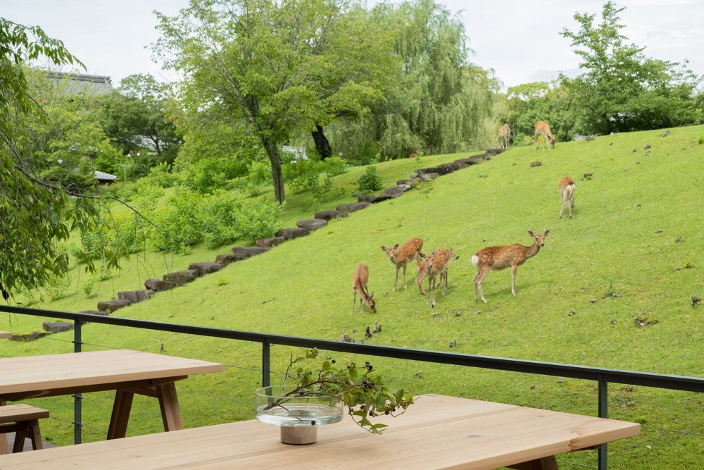 MIROKU 奈良 by THE SHARE HOTELS／画像提供：リビタ