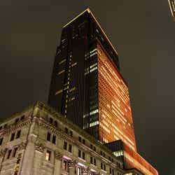 過去開催時の様子/画像提供:日本橋桜フェスティバル実行委員会