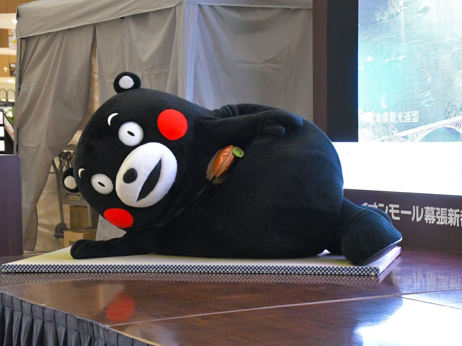 ウトウト……してないモン!=9月24日、千葉県千葉市