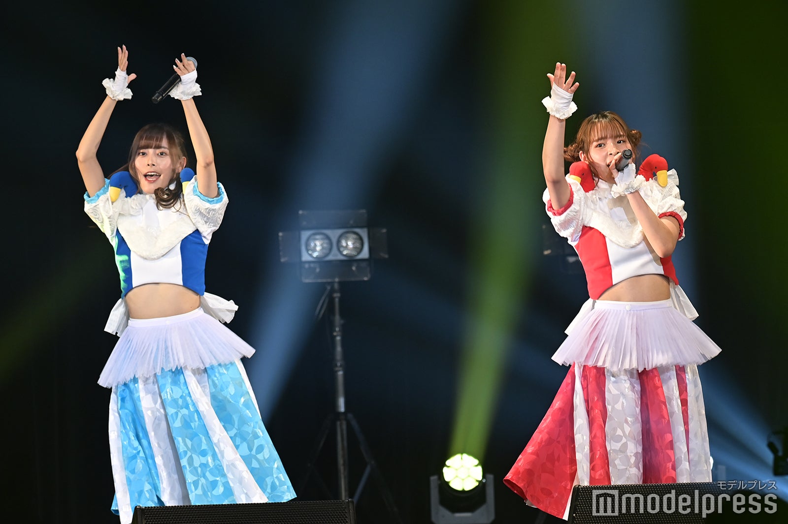 豆柴の大群（C）モデルプレス