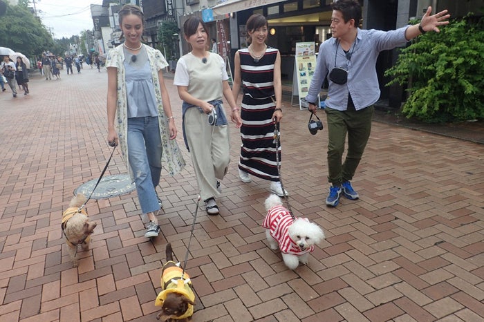 （写真左から）滝沢カレン、大久保佳代子、安田美沙子、井戸田潤／画像提供：TBS