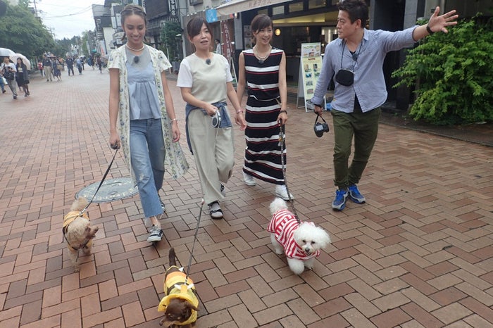 滝沢カレン 安田美沙子 愛犬と行く軽井沢日帰り旅行を満喫 女子旅プレス 滝沢カレン 安田美沙子 愛犬と行く軽井沢日帰り旅行を満喫 女子旅プレス