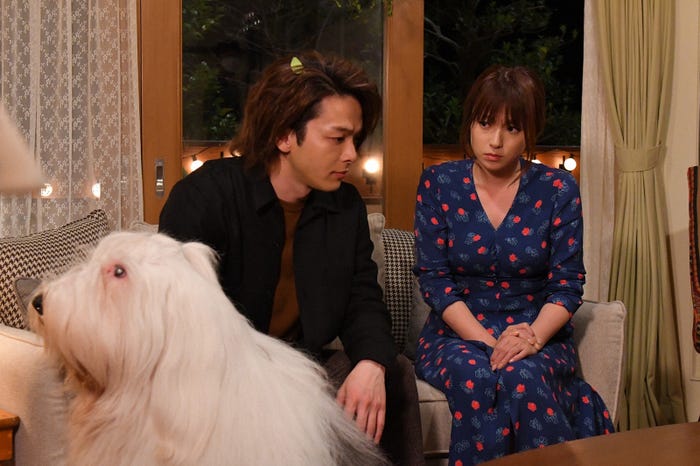 とろろ、中村倫也、深田恭子/「初めて恋をした日に読む話」第7話より(C)TBS