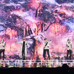 Forestella「2022 MAMA AWARDS」 （C）CJ ENM Co., Ltd, All Rights Reserved