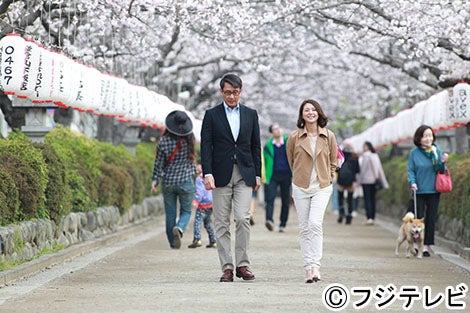 主人公の千明（小泉今日子）と和平（中井貴一）