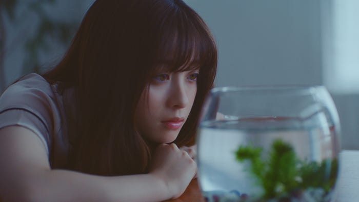 橋本環奈(提供画像)