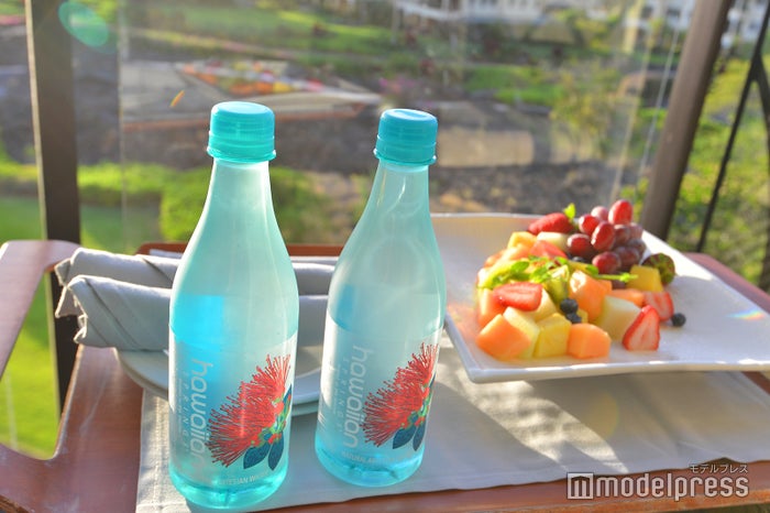 ワイコロア・ビーチ・マリオット・リゾート＆スパ（C）ビューティーガール