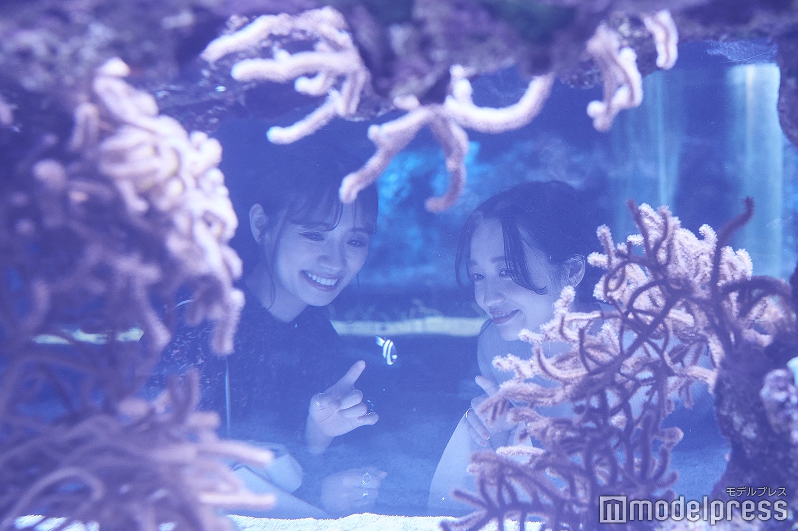 すみだ水族館（C）モデルプレス