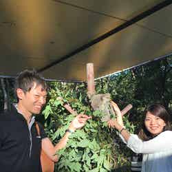可愛いコアラと記念撮影/画像提供:JTBワールドバケーションズ