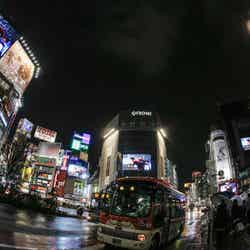 菅田将暉が渋谷街頭ビジョンをジャック／撮影：西田航（WATAROCK）／（提供写真）
