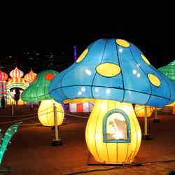 2015年実写/画像提供:豊島園