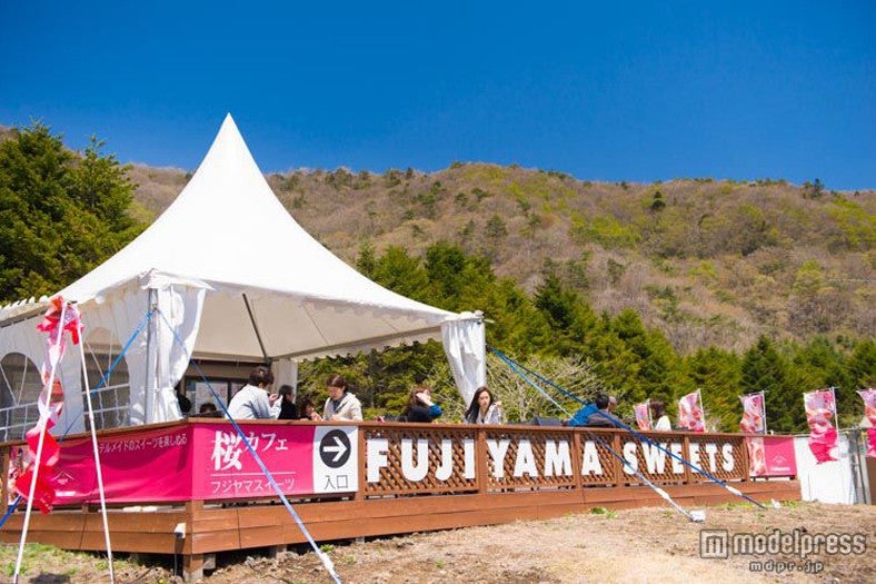 「展望カフェ」で雄大な自然を見渡す