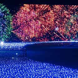 イルミネーションによる花火で毎晩「日本の夏」が楽しめるサマーライトガーデン（昨年の様子）／画像提供：東京ミッドタウンマネジメント
