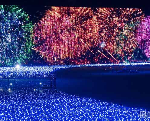 日本三大花火がイルミで東京の夜を彩る 東京ミッドタウンに夏の風物詩が集結