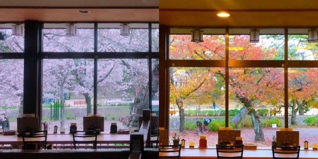 子どもとの外食にオススメ！家族で行きたい「神戸＆西宮グルメ」3選