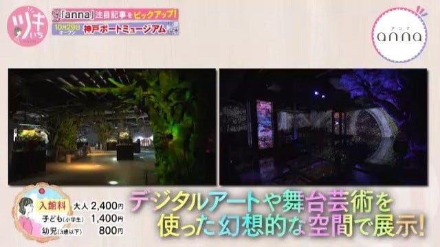 【明日オープン】神戸に新たなランドマークが誕生！新感覚の水族館とは？