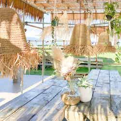 BLUE BEACH NACHI/画像提供:Ginger