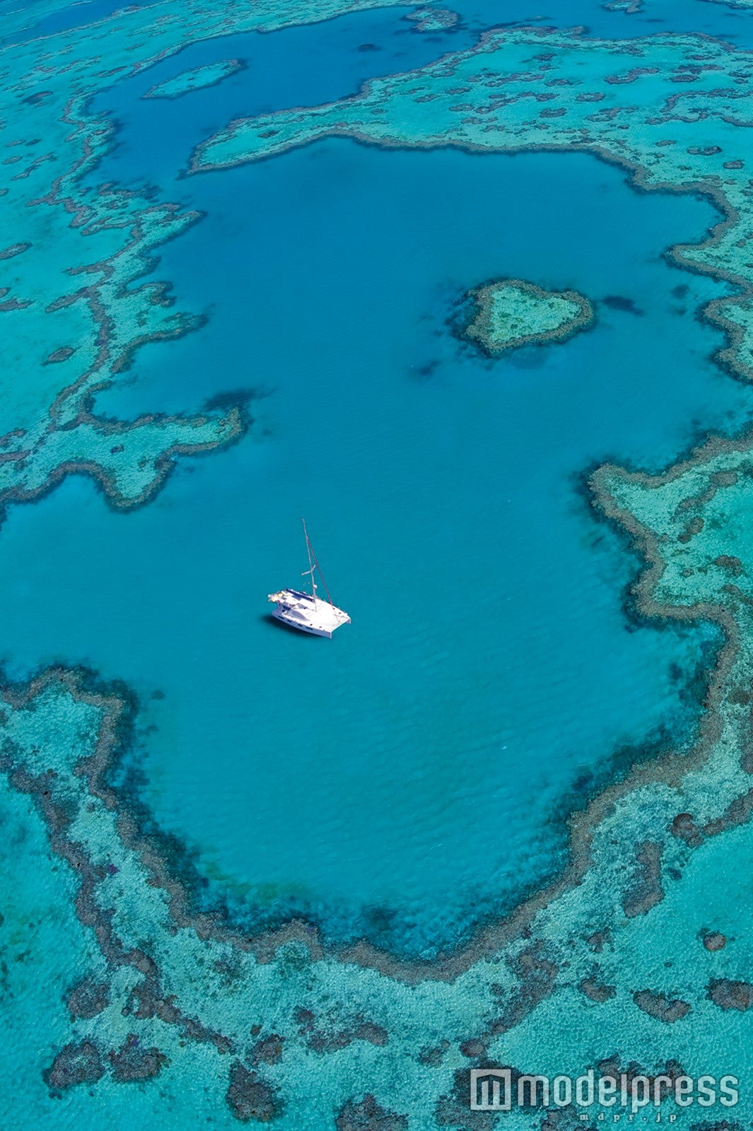 （写真中央上）ハート型のリーフ（C）Hamilton Island