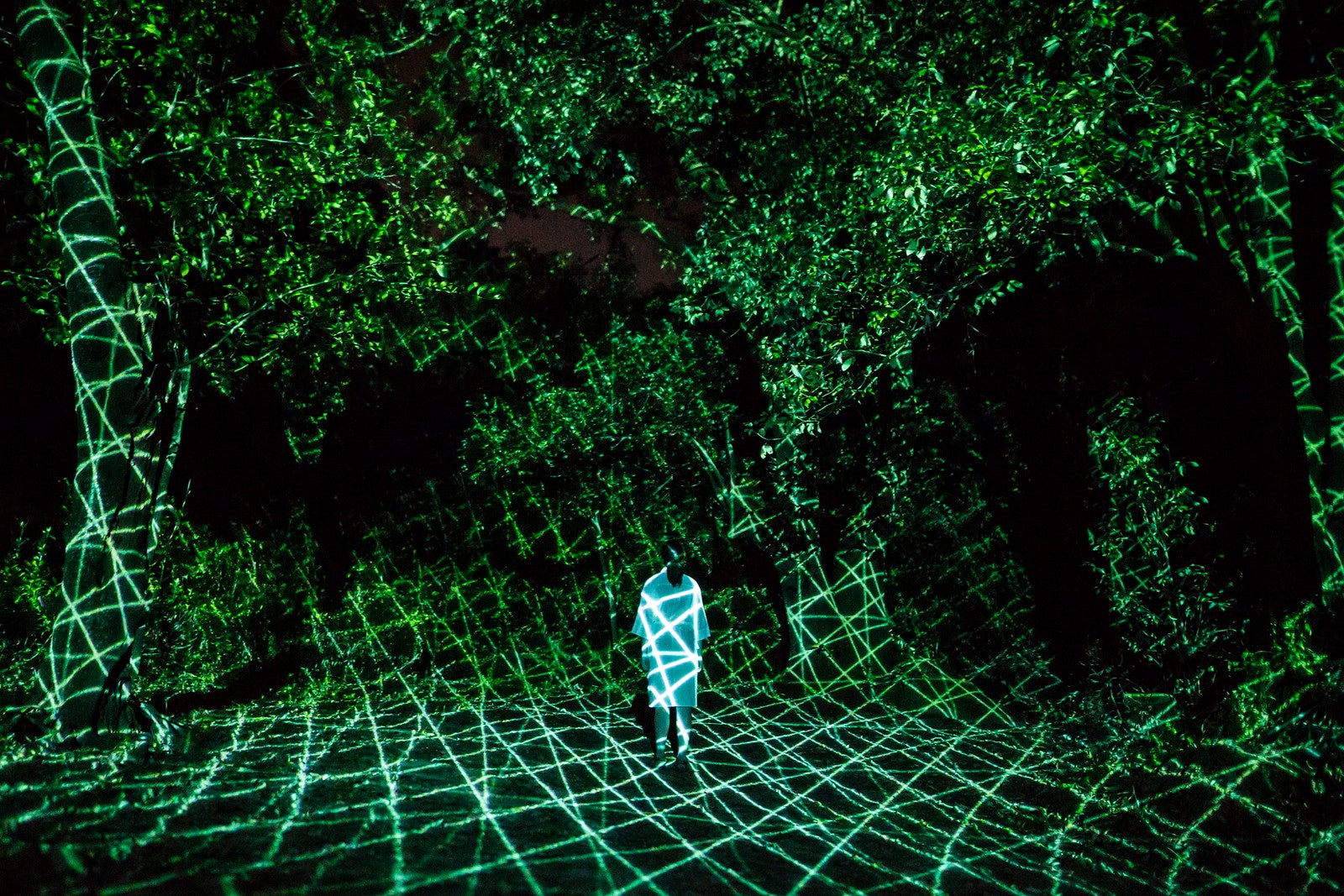 チームラボ《具象と抽象》※参考画像（C）チームラボ