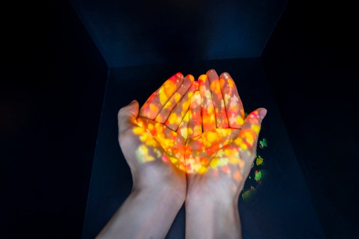NAKED FLOWERS 2021 −桜− 世界遺産・二条城/画像提供:ネイキッド