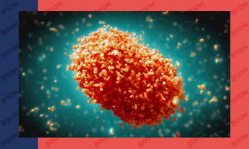 Why WHO Recommends 'Mpox' As A New Name For Monkeypox - モデルプレス